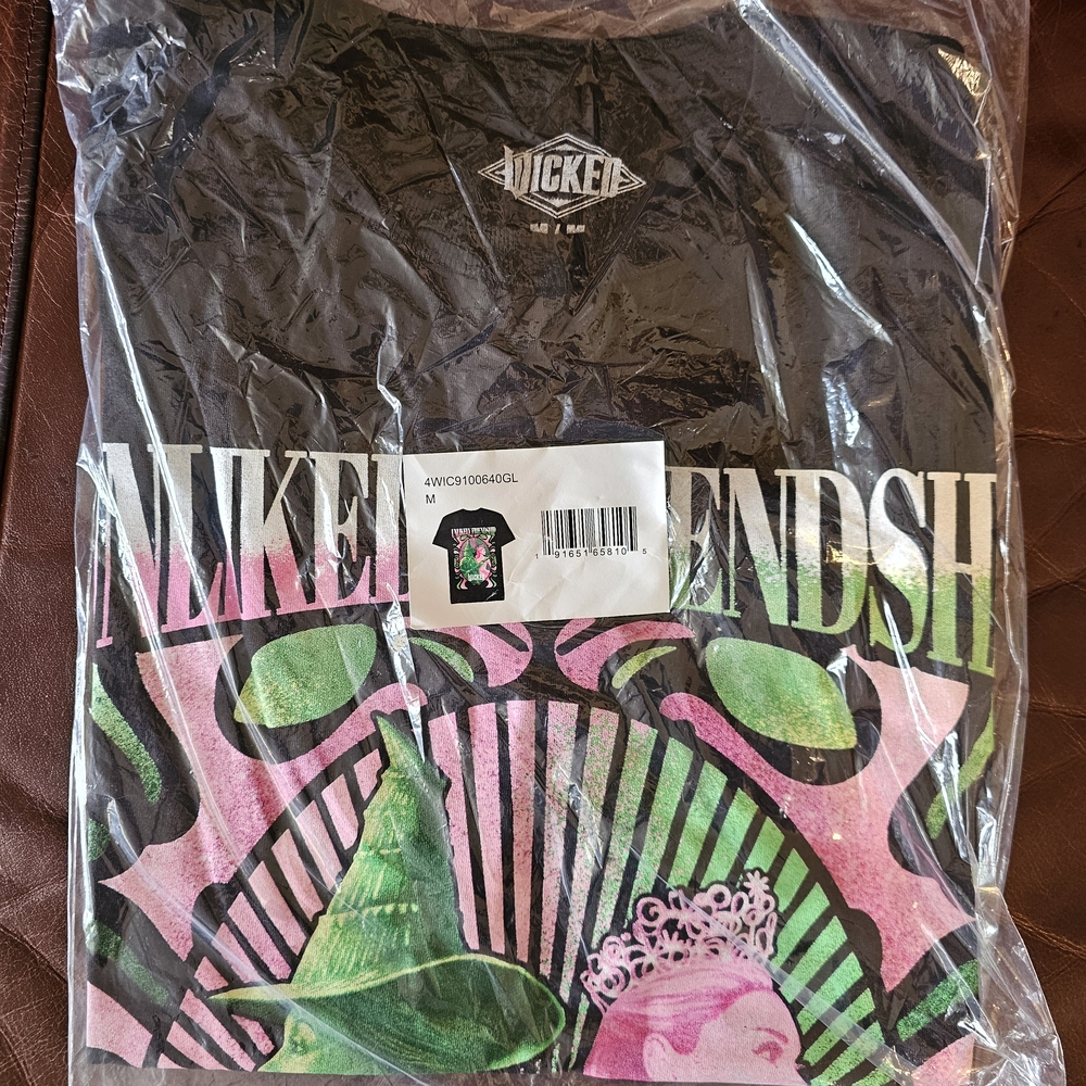 Women's Wicked Unlikely Friendship Graphic Tee
